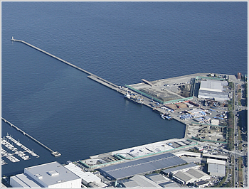 金沢木材ふ頭 全景 金沢木材ふ頭 全景